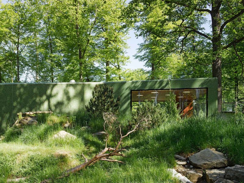 Morscher Architekten: Tierbeobachtungspavillon Zoo Bern - best architects 15